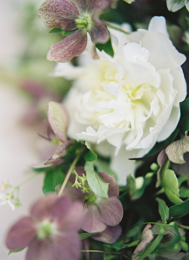 floral botanical photography brandi smyth